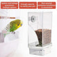 🔥Hot Sale 49% OFF -🐦Automatic No-Spill Transparent Bird Feeder