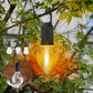 🔥Summer Promotion 49% OFF -💡New Outdoor Camping Hanging Type-C Charging Retro Bulb Light