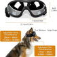 🔥Summer Promotion 49% OFF -💝Outdoor Goggles for Your Dogs