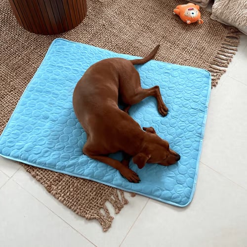 🔥Last Day Promotion 49% OFF 🧊Pets Cooling Mat (4x more effective)