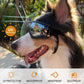 🔥Summer Promotion 49% OFF -💝Outdoor Goggles for Your Dogs