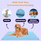 🔥Last Day Special Price ￡7.99!!🎁- 🧊Pets Cooling Mat (4x more effective)