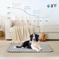 🔥Last Day Special Price ￡7.99!!🎁- 🧊Pets Cooling Mat (4x more effective)