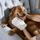 🔥Last Day Promotion 49% OFF - 🏠Deodorizing Pet Glove Wipes