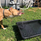 🔥LAST DAY SALE ￡9.99!!💥-🏡Upgraded Solar Powered Water Fountain Pump With Accessories