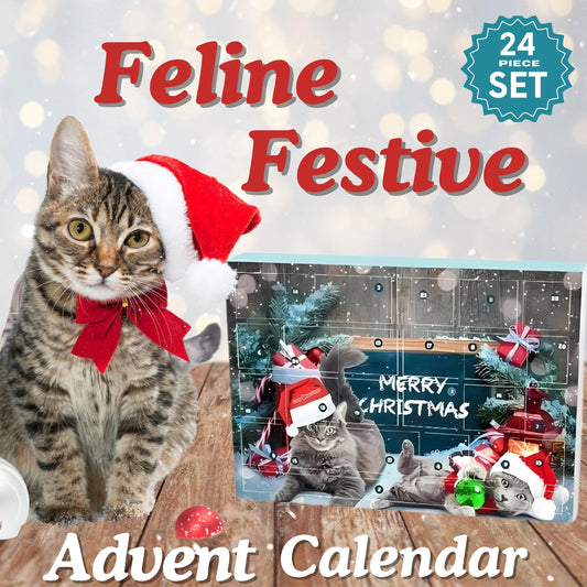 🎄Christmas Sale-Up to 50% OFF🐾 Cat Advent Calendar 2025 🎁 24 Toys for a Meowy Christmas! ✨