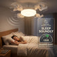 ⏳LAST DAY SALE 50% OFF!!❄Aerolux™ Ceiling Fan Light – 2-in-1 Silent LED with Remote 🌬️💡  Energy-Efficient Airflow & Dimmable Lighting for Bedrooms, Living Rooms & Conservatories 🏡✨