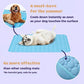 🔥Last Day Special Price ￡7.99!!🎁- 🧊Pets Cooling Mat (4x more effective)