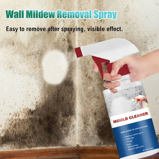 🔥Buy 2 Get 1 Free 🔥Mould & Mildew Removing Foam Spray