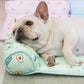✨The Summer  Hot Sale 49%OFF--💦🐱Cats/Dogs Cooling Bed🐶