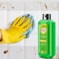 🔥Last Day Promotion 49% OFF -⌛Powerful Multifunctional Cleaner