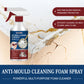 💥Buy 1  Get 2 Free💥Anti-Mould Cleaning Foam Spray🌟Magic anti-mildew magic!🌟