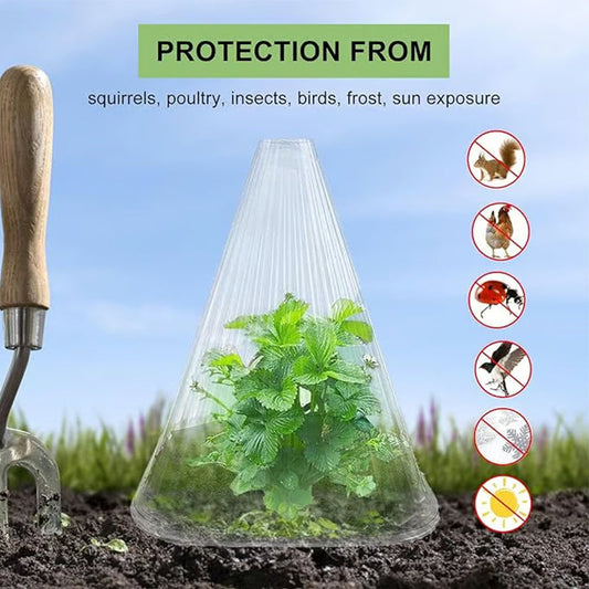 🔥🍃Spring Big Promotion 49%OFF- 🌞🌸Clear Garden Cloche for Plants