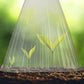 🔥🍃Spring Big Promotion 49%OFF- 🌞🌸Clear Garden Cloche for Plants
