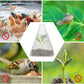 🔥🍃Spring Big Promotion 49%OFF- 🌞🌸Clear Garden Cloche for Plants
