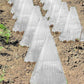 🔥🍃Spring Big Promotion 49%OFF- 🌞🌸Clear Garden Cloche for Plants