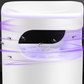 📢📢40% OFF !! ⏰UV Fly Trap with Transparent Catch Box