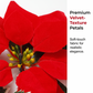 🎅Christmas Hot Sale - ONLY ￡10.99!!🎄✨Light-Up Poinsettia Christmas Garland – 🍁Warm Festive Glow Without a Wall Socket